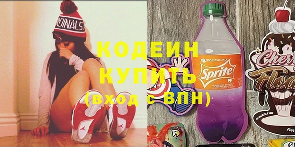 стаф Алзамай