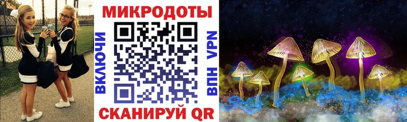 Галлюциногенные грибы Psilocybe  блэк спрут ТОР  Миасс 